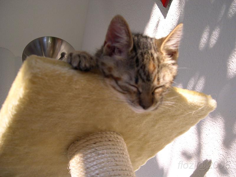 August_2007_011.JPG