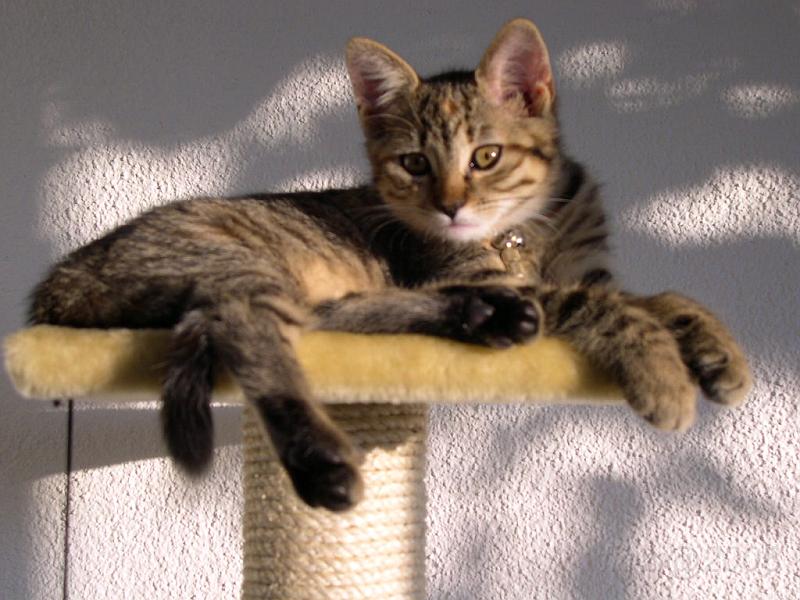 August_2007_012.JPG