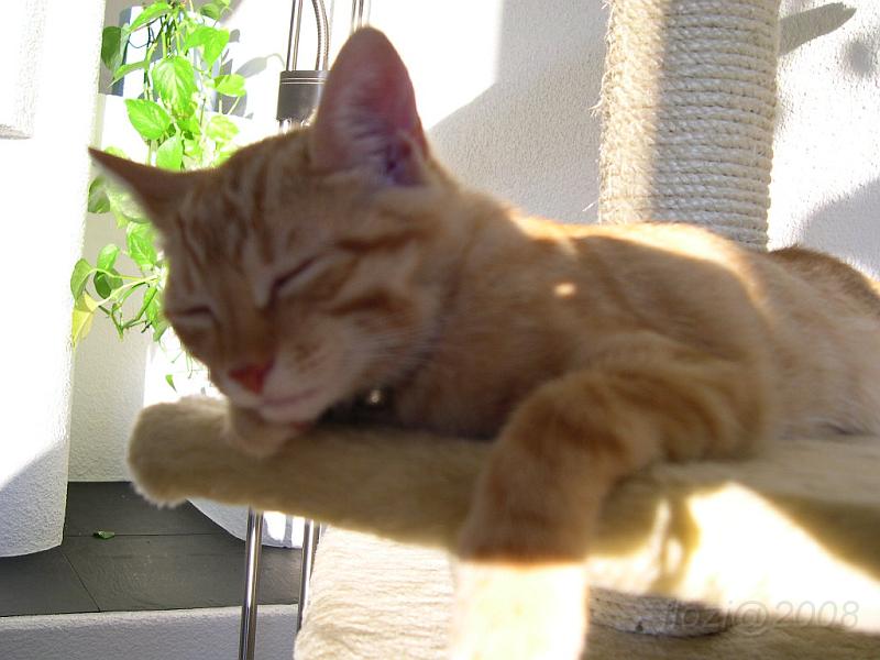 August_2007_013.JPG