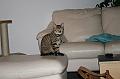 August_2007_007