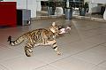 November_2007_001