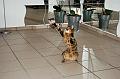 November_2007_007